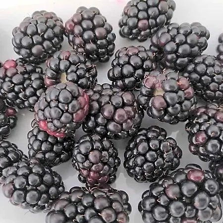 Le 4* 크로토네